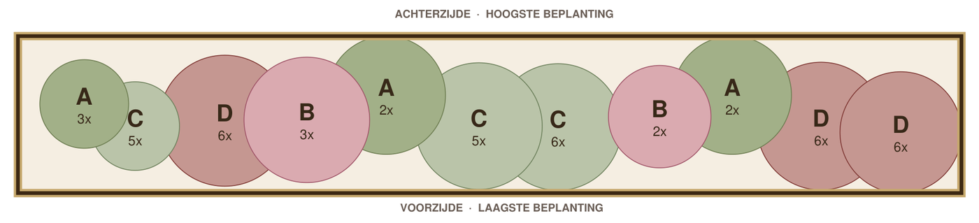 Beplantingsplan: smalle border in de zon op zandgrond, tekening op schaal