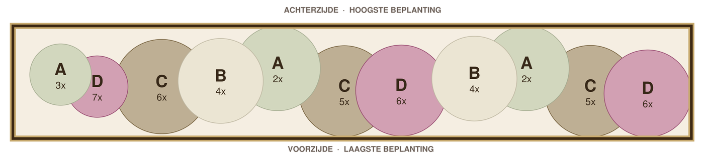 Beplantingsplan: smalle border in de schaduw op leemgrond, tekening op schaal